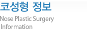 코성형 정보