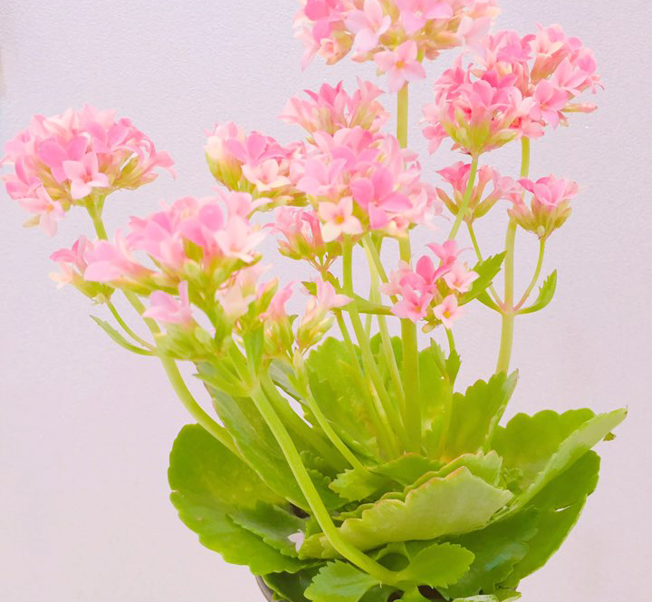 병원일기 이미지