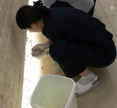 병원일기 이미지