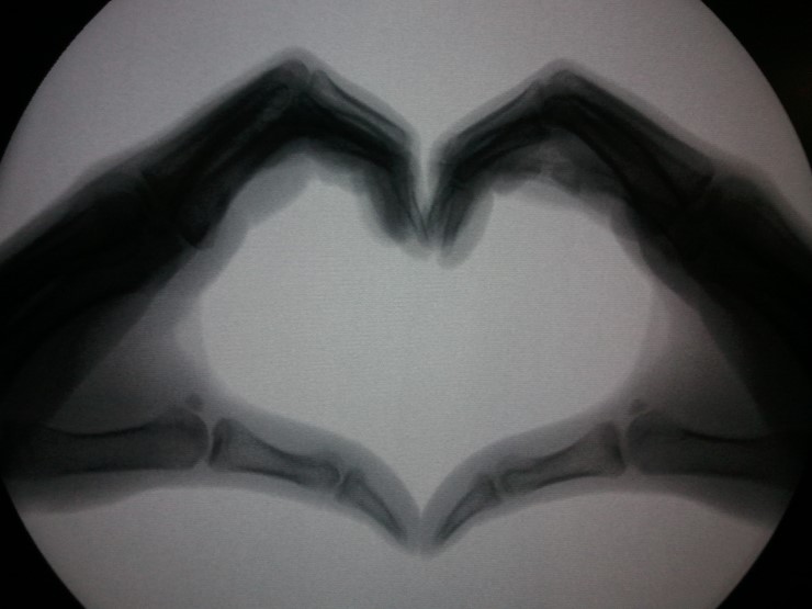 병원일기 이미지