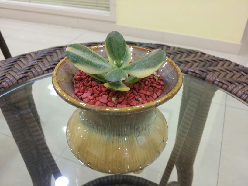 병원일기 이미지