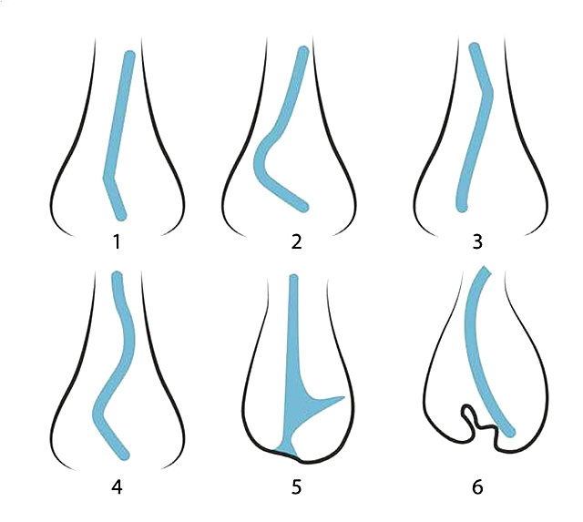 삼성드림이비인후과