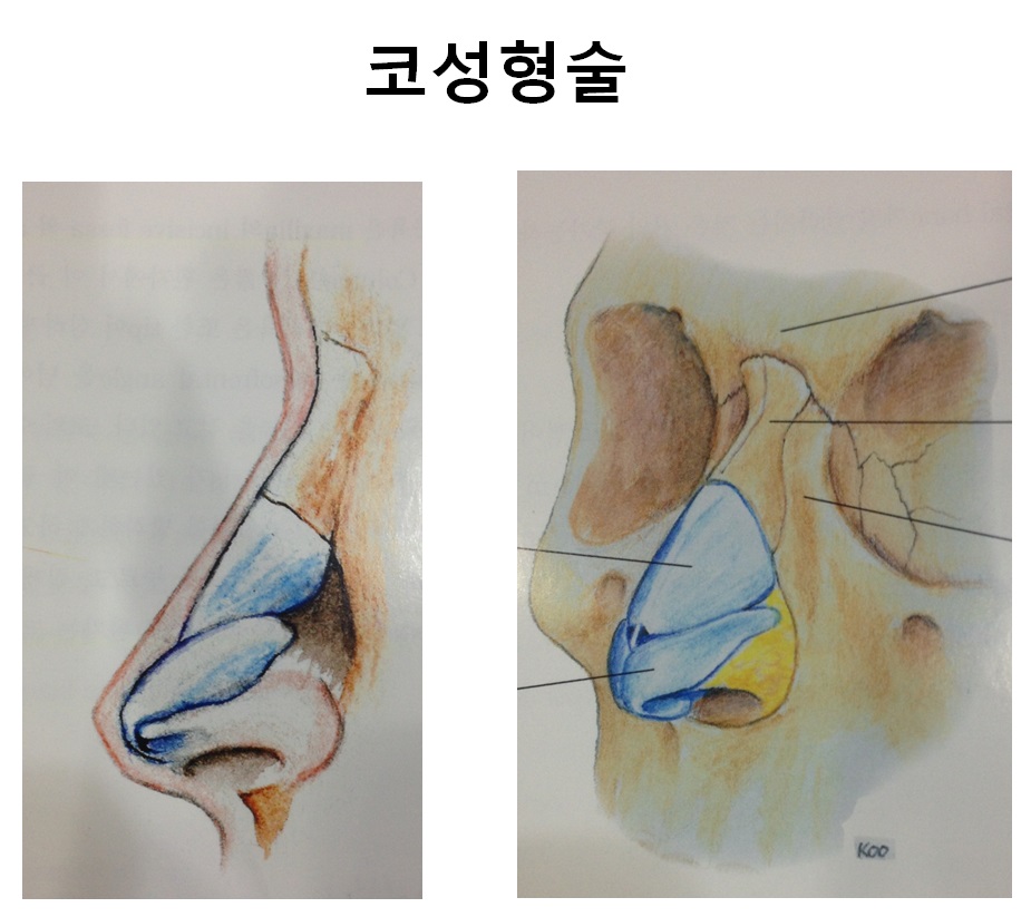 삼성드림이비인후과