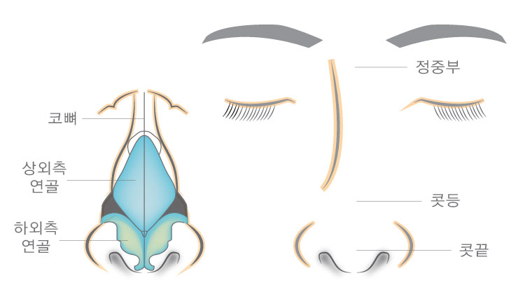 삼성드림이비인후과