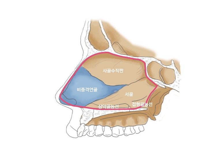 삼성드림이비인후과